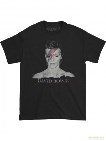 David Bowie: Men's Tee: Aladdin Sane (Medium)