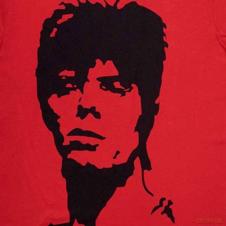 David Bowie: Unisex T-Shirt: 1973 Monochrome (Red) (Large)