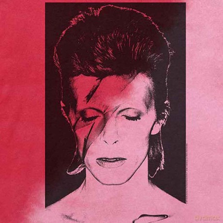 David Bowie: Unisex T-Shirt: Aladdin Sane (Red) (Wash Collection) (Small)