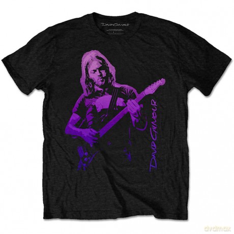 David Gilmour: Unisex Tee: Pig Gradient (Small)