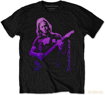 David Gilmour: Unisex Tee: Pig Gradient (Small)