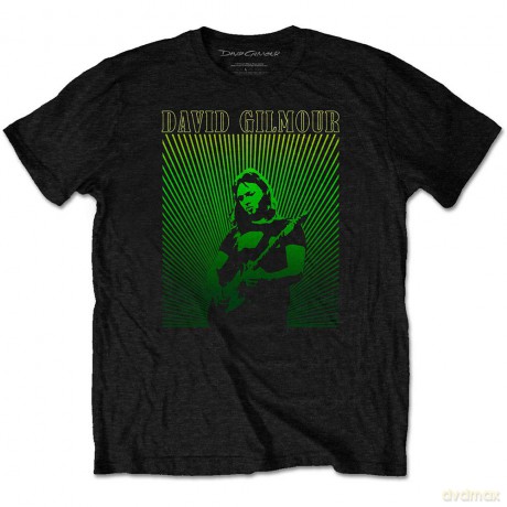 David Gilmour: Unisex Tee: Rays Gradient (Large)