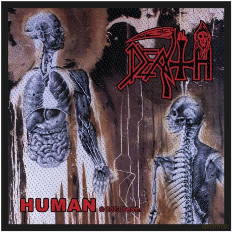 Death: Standard Patch: Human