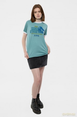 Def Leppard: Unisex Ringer T-Shirt: High N' Dry (Green) (Medium)