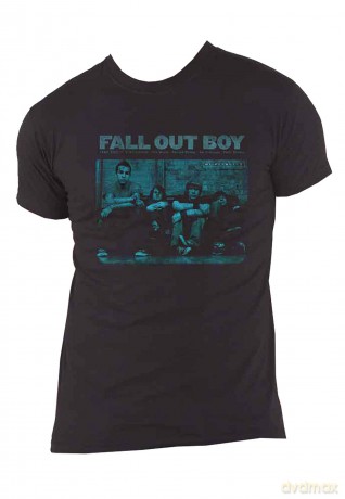 Fall Out Boy: Unisex T-Shirt: Take This to your Grave (Black) (Medium)