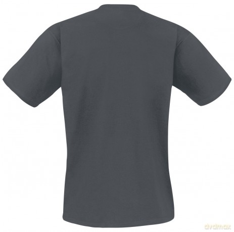 Foo Fighters: Unisex T-Shirt: Triangle (Heather Grey) (XX-Large)