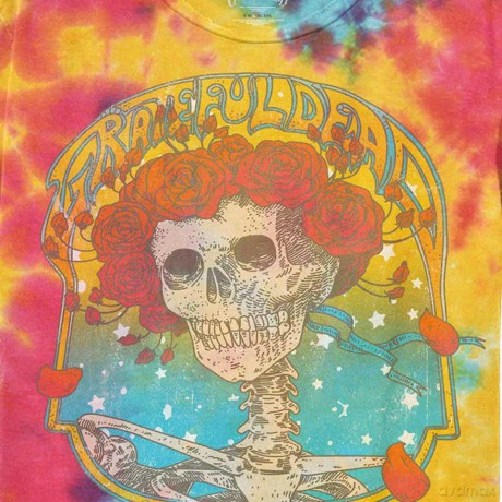 Grateful Dead: Kids T-Shirt: Bertha Frame (Multicolour) (Wash Collection) (7-8 Years)