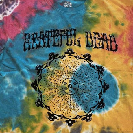 Grateful Dead: Kids T-Shirt: May '77 Vintage (Multicolour) (Wash Collection) (1-2 Years)