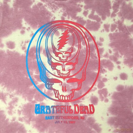 Grateful Dead: Ladies Crop Top: Concentric Skulls (Pink) (Wash Collection) (Small)