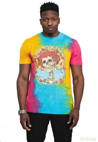 Grateful Dead: Unisex T-Shirt: Bertha Frame (Multicolour) (Wash Collection) (Small)
