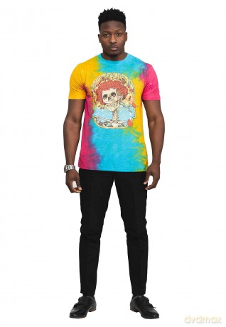 Grateful Dead: Unisex T-Shirt: Bertha Frame (Multicolour) (Wash Collection) (Small)