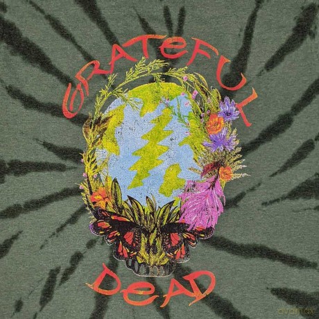 Grateful Dead: Unisex T-Shirt: Forest Dead (Green) (Wash Collection) (Small)