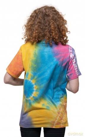 Grateful Dead: Unisex T-Shirt: May '77 Vintage (Multicolour) (Wash Collection) (XX-Large)