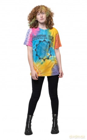 Grateful Dead: Unisex T-Shirt: May '77 Vintage (Multicolour) (Wash Collection) (XX-Large)