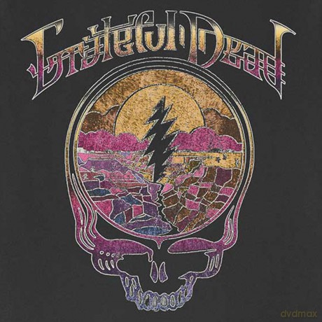 Grateful Dead: Unisex T-Shirt: Mosaic (Black) (Small)