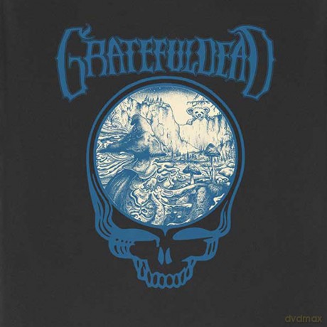 Grateful Dead: Unisex T-Shirt: Mushrooms (Black) (Medium)