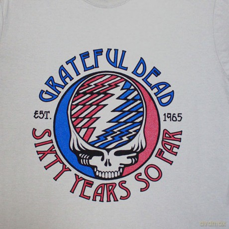 Grateful Dead: Unisex T-Shirt: Stealie 60 (Grey) (Large)