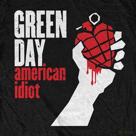 Green Day: Kids T-Shirt: American Idiot (Black) (3-4 Years)