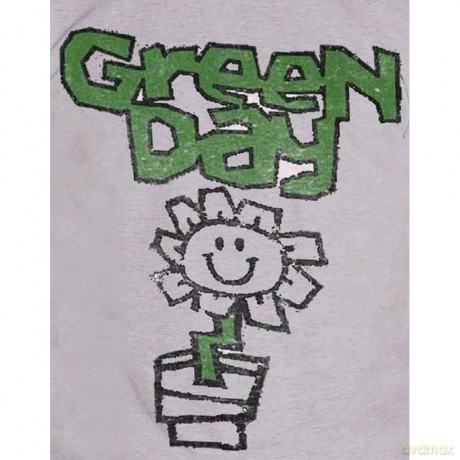 Green Day: Men's Tee: Flower Pot (X-Large)