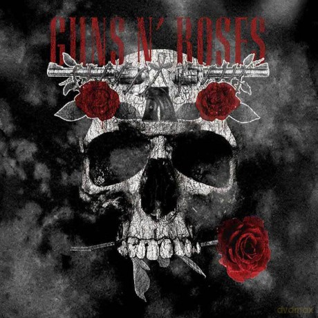 Guns n Roses: Guns N' Roses Kids T-Shirt: Flower Skull (Grey) (Wash Collection) (11-12 Years)