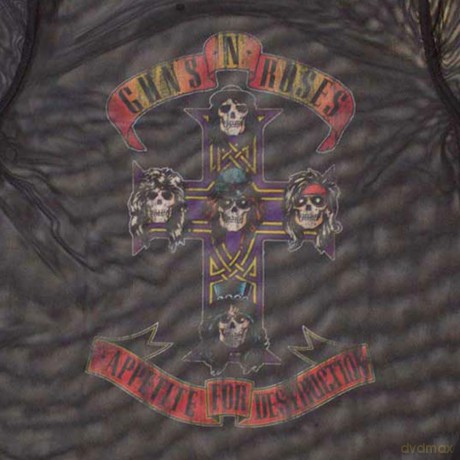 Guns n Roses: Guns N' Roses Ladies Crop Top: Appetite For Destruction (Black) (Mesh) (Medium)