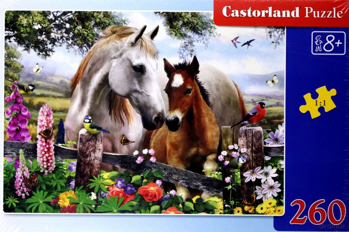 CASTOR 260 EL. Latem na łące [PUZZLE]