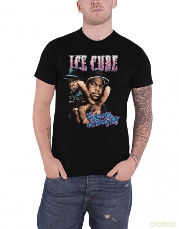 Ice Cube: Unisex T-Shirt: Today Was A Good Day (Black) (Small)