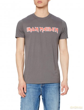 Iron Maiden: Men's Tee: Classic Logo (Small)