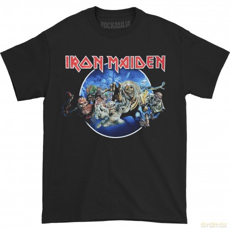 Iron Maiden: Men's Tee: Wasted Years Circle (Small)