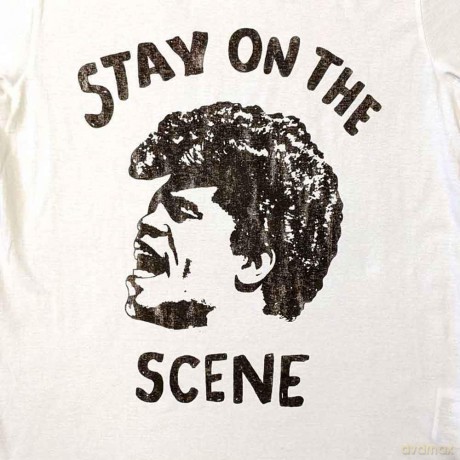 James Brown: Unisex T-Shirt: Stay On The Scene (White) (X-Large)