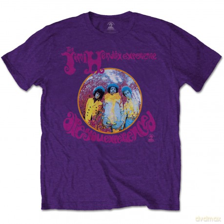 Jimi Hendrix: Unisex T-Shirt: Are You Experienced (Black) (Small)