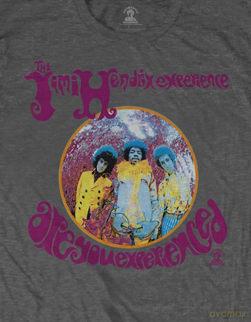 Jimi Hendrix: Unisex T-Shirt: Are You Experienced (Grey) (Large)