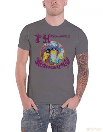 Jimi Hendrix: Unisex T-Shirt: Are You Experienced (Grey) (Medium)