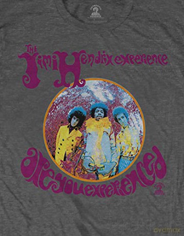 Jimi Hendrix: Unisex T-Shirt: Are You Experienced (Grey) (Medium)