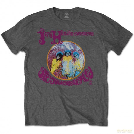 Jimi Hendrix: Unisex T-Shirt: Are You Experienced (Grey) (Small)