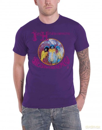 Jimi Hendrix: Unisex T-Shirt: Are You Experienced (Purple) (Small)