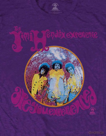 Jimi Hendrix: Unisex T-Shirt: Are You Experienced (Purple) (Small)