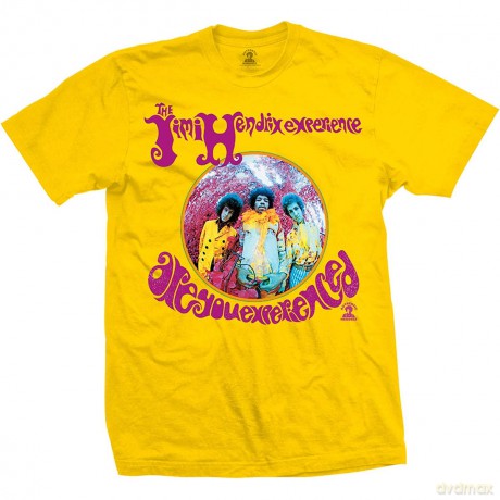 Jimi Hendrix: Unisex T-Shirt: Are You Experienced (Yellow) (Small)