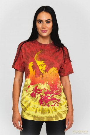 Jimi Hendrix: Unisex T-Shirt: Electric Ladyland (Red) (Wash Collection) (Large)