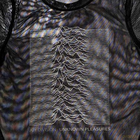 Joy Division: Ladies Crop Top: Unknown Pleasures (Black) (Mesh) (X-Small)