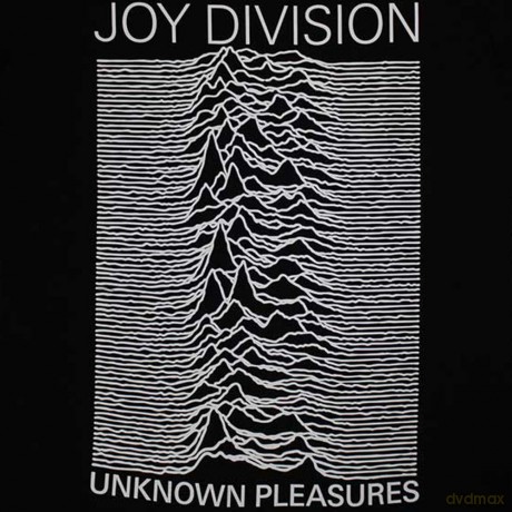 Joy Division: Ladies T-Shirt: Unknown Pleasures FP (Black) (Medium)