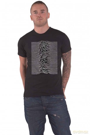 Joy Division: Unisex T-Shirt: Unknown Pleasures (Black) (Back Print) (XXXX-Large)