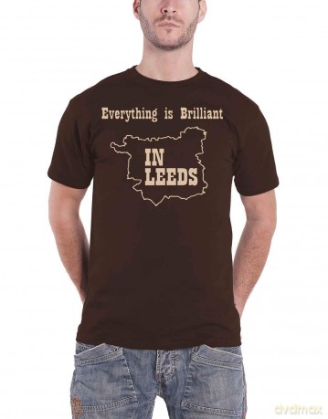 Kaiser Chiefs: Unisex T-Shirt: Everything Is Brilliant (Chestnut Brown) (Back Print) (X-Large)