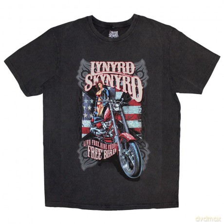 Lynyrd Skynyrd: Unisex Stone Wash T-Shirt: Ride Free (Charcoal Grey) (Small)