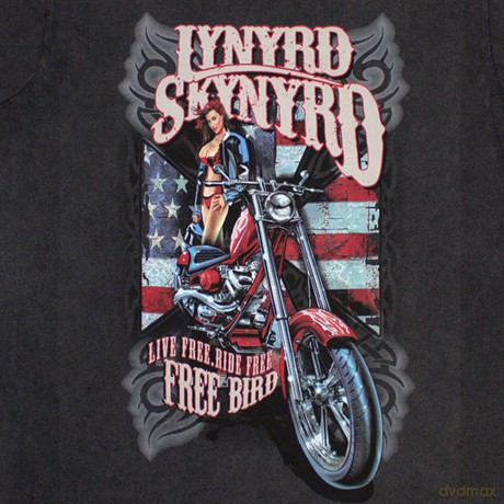 Lynyrd Skynyrd: Unisex Stone Wash T-Shirt: Ride Free (Charcoal Grey) (Small)