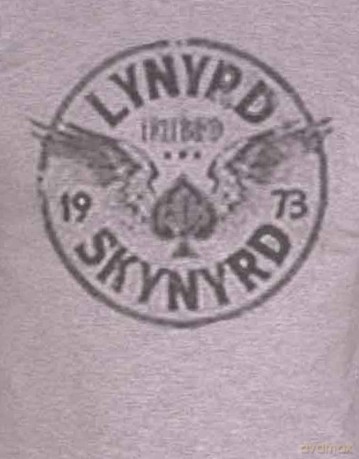 Lynyrd Skynyrd: Unisex T-Shirt: Freebird '73 Wings (Grey) (Small)