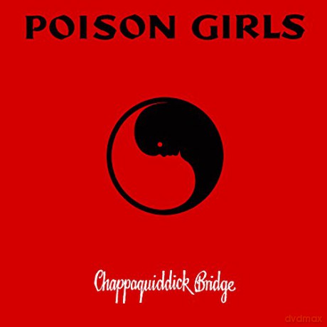 Poison Girls: Chappaquiddick Bridge [2xWinyl]