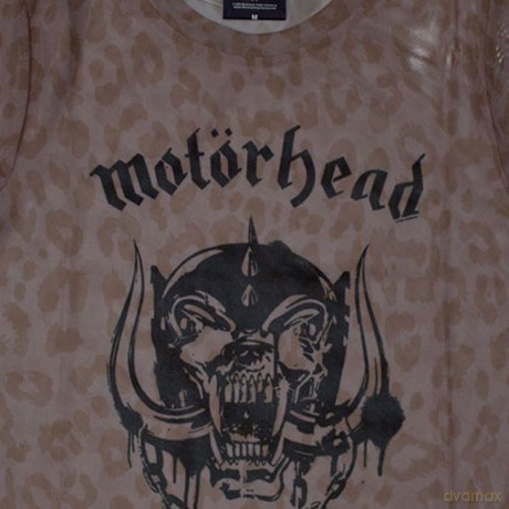 Motorhead: Ladies Crop Top: Warpig (Pink) (Mesh) (Medium)