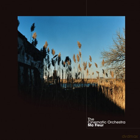 The Cinematic Orchestra: Ma Fleur Limited [2xWinyl]