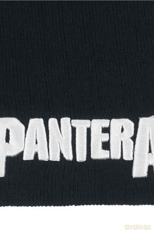 Pantera: Men's Beanie Hat: Logo